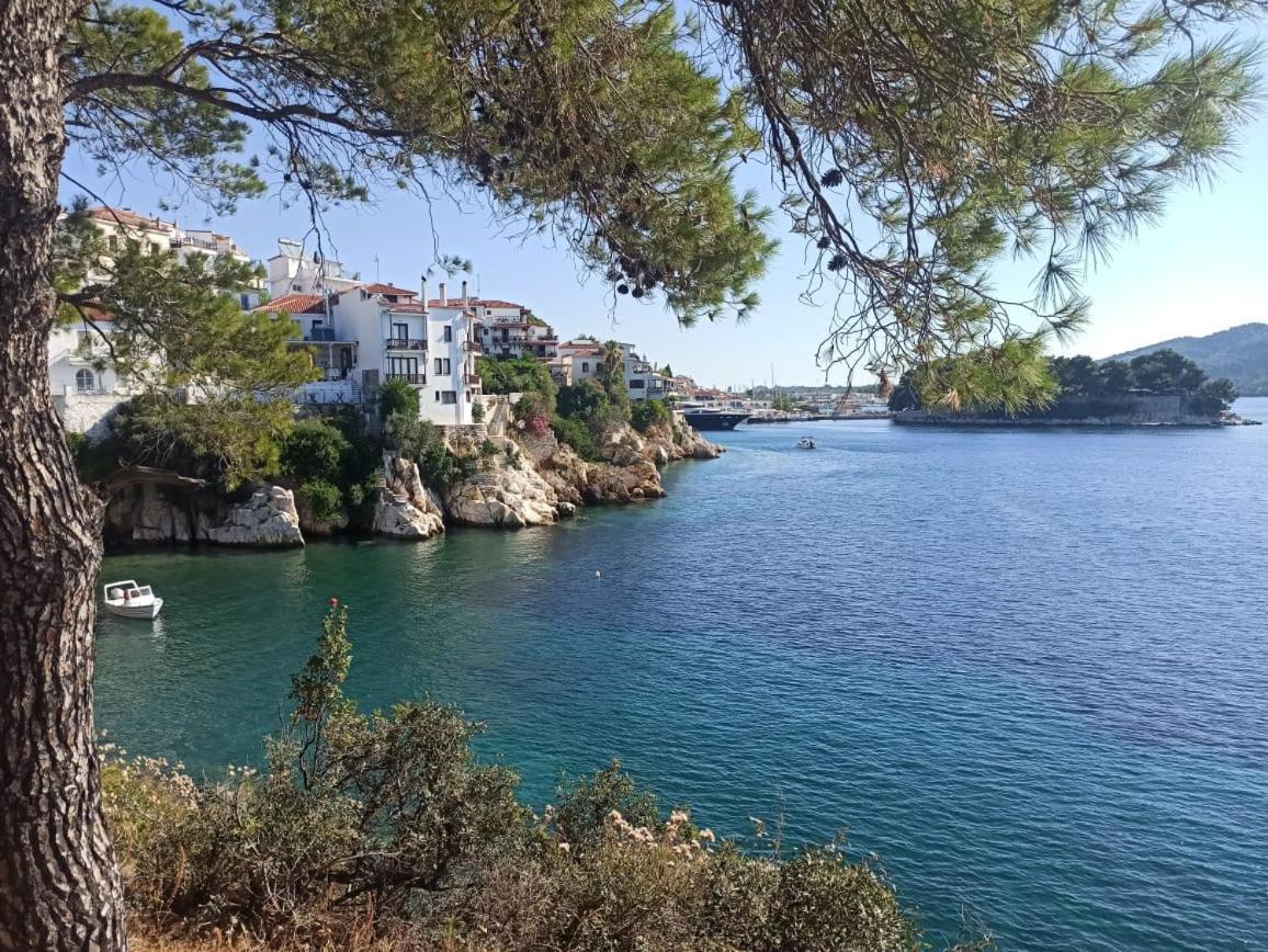 Сasa de vacaciones Island House Skiathos
